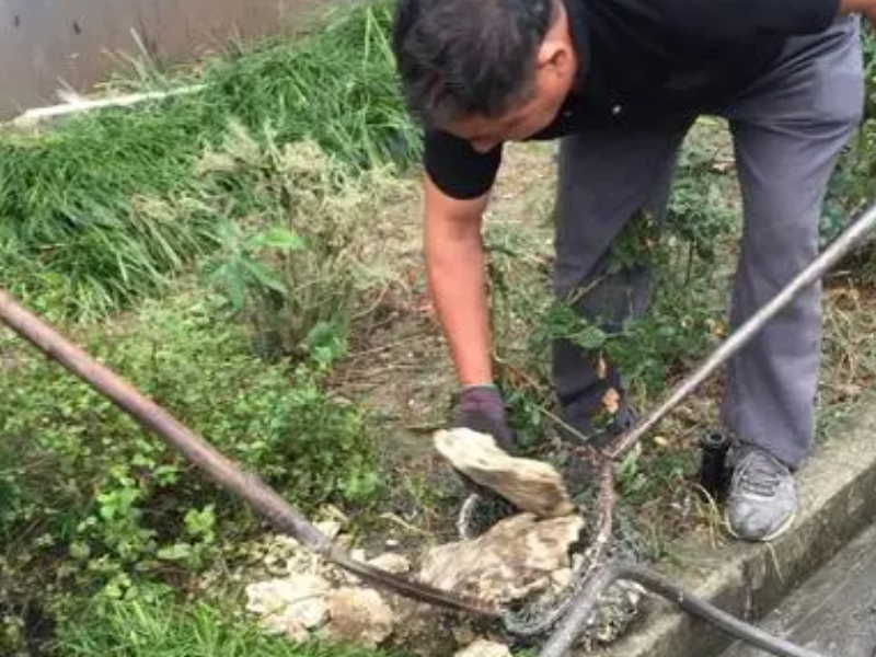 上海奉贤区奉城镇检测井清理清洗 清理化粪池抽粪
