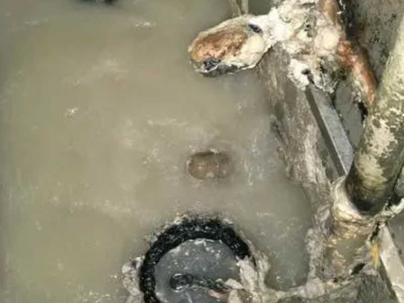 上海奉贤区疏通下水道专业 疏通下水道 环保工程